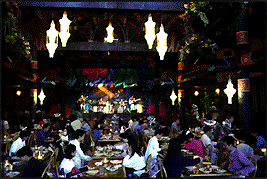 Polynesian Terrace